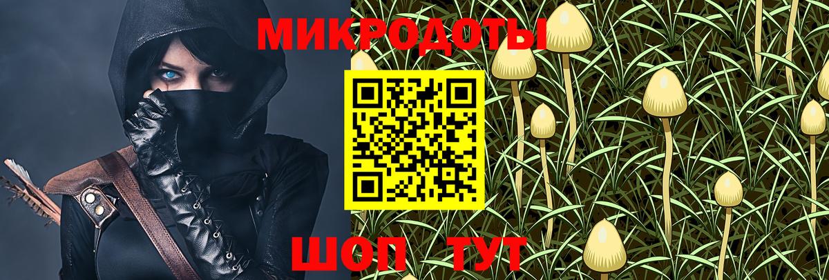 Псилоцибиновые грибы ЛСД Туймазы