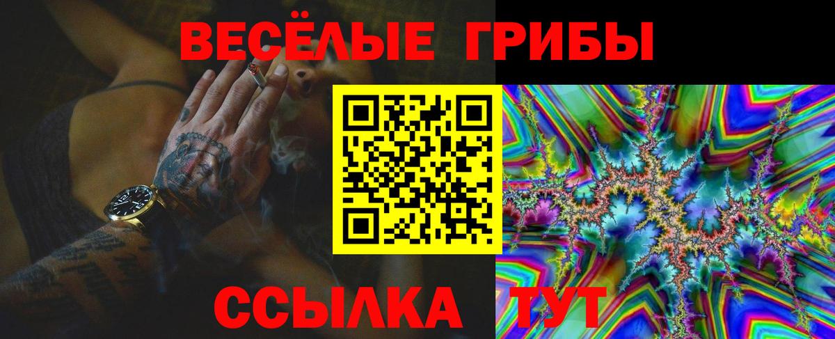 Туймазы  Псилоцибиновые грибы мицелий  купить наркоту  Вход с VPN  Галлюциногенные грибы Cubensis 